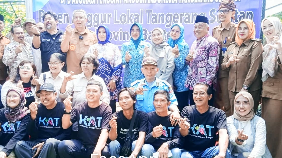 Tangsel Sukses Panen Raya Anggur Lokal, Wali Kota Dorong Perluasan Budidaya