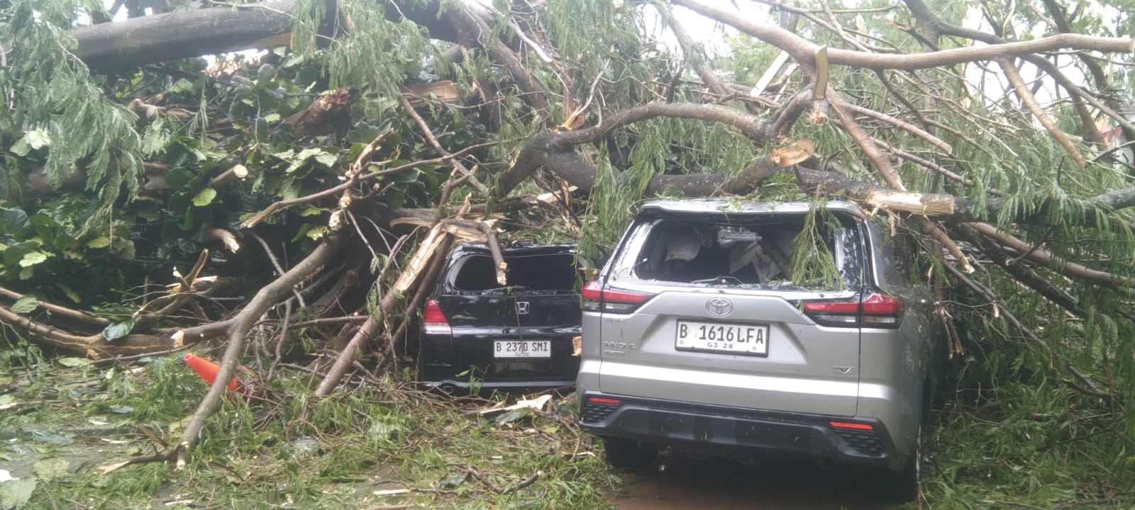 Hujan Deras dan Badai Terjang Tangerang Selatan, Pohon Tumbang Timpa Mobil dan Kabel