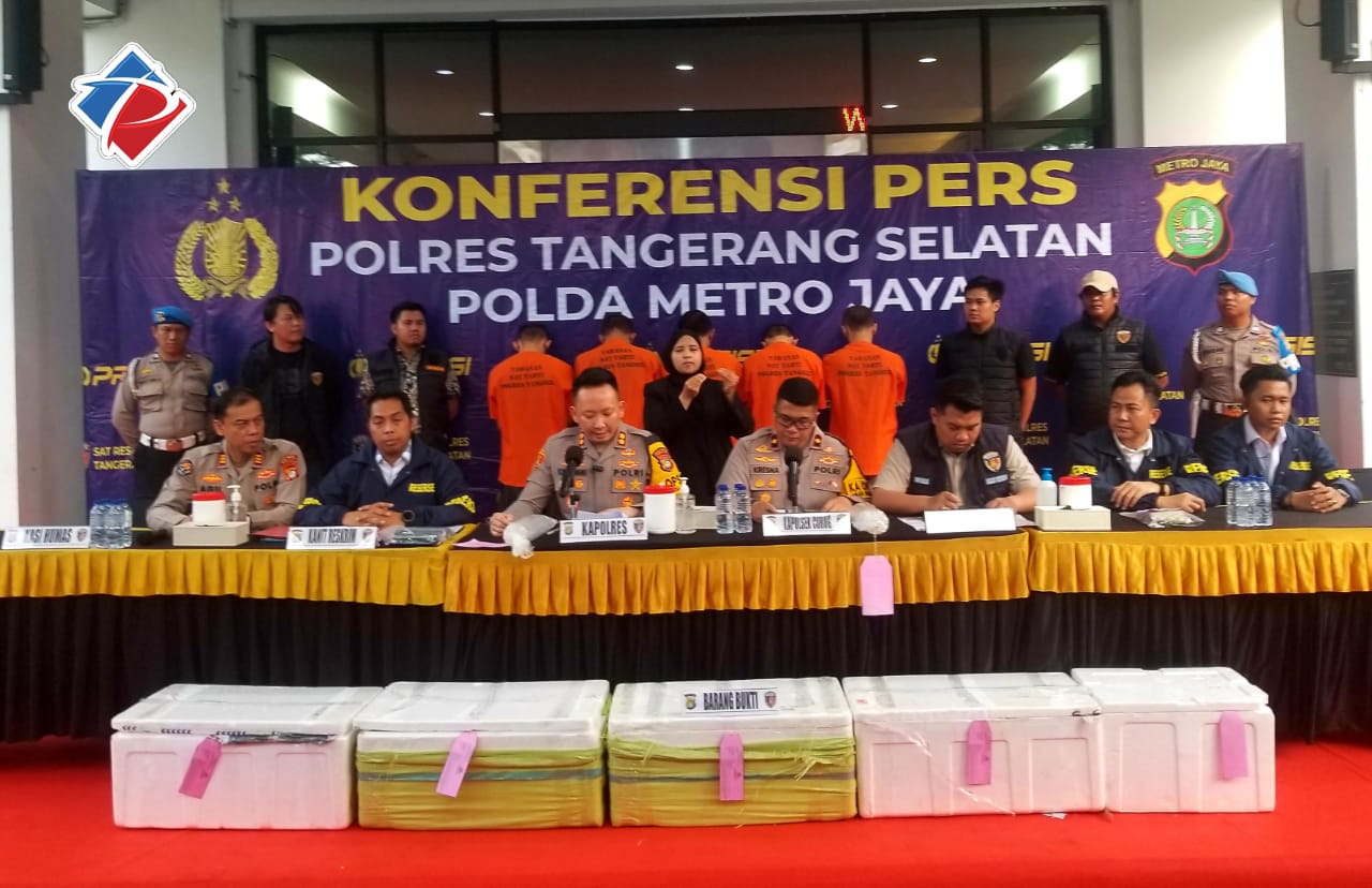 Polres Tangsel Bongkar Jaringan Penyelundupan Benih Lobster Rp12,5 Miliar, Delapan Tersangka Ditangkap