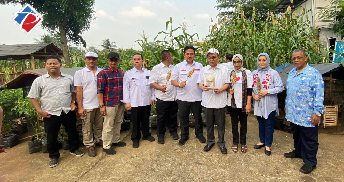 Ketum Garuda Astacita Nusantara Panen Sorgum di Etalase GAN Banten, Dorong Ketahanan Pangan dan Ekonomi Masyarakat