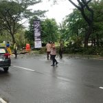 IMG-20260308-WA0063