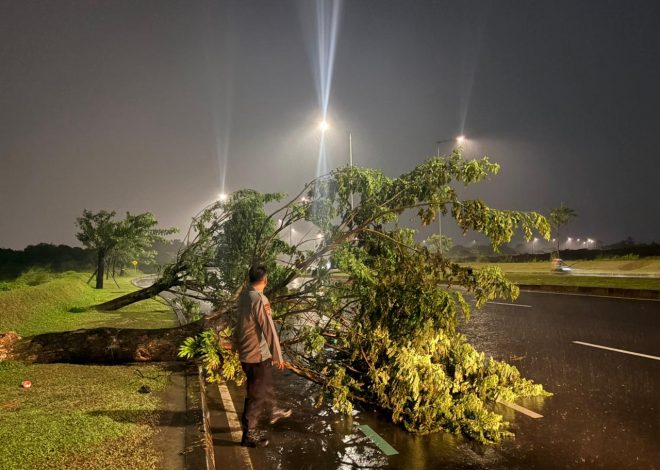 Sigap Hadapi Cuaca Ekstrem, Polsek Pagedangan Tangani Pohon Tumbang di Sejumlah Titik