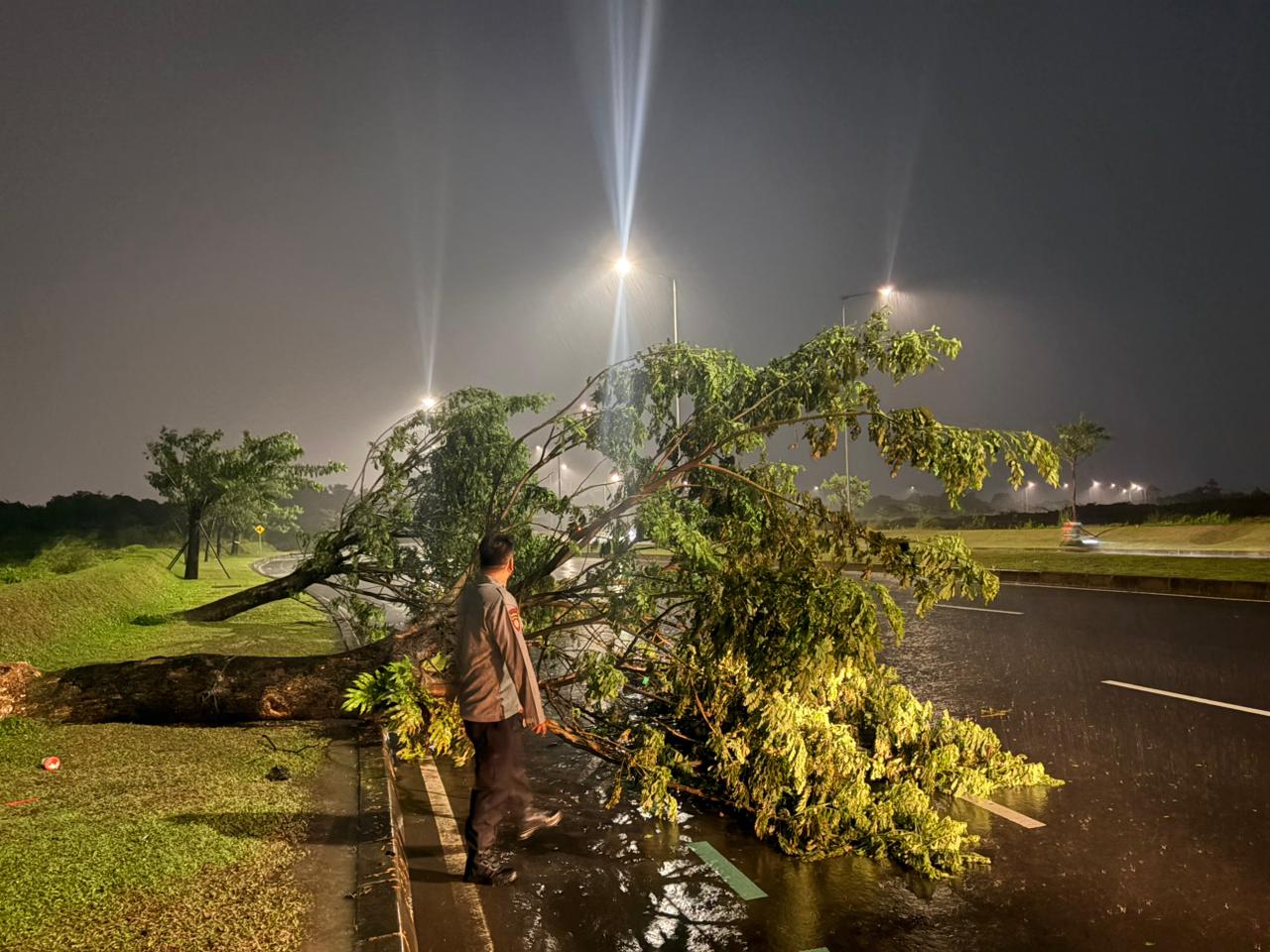 Sigap Hadapi Cuaca Ekstrem, Polsek Pagedangan Tangani Pohon Tumbang di Sejumlah Titik