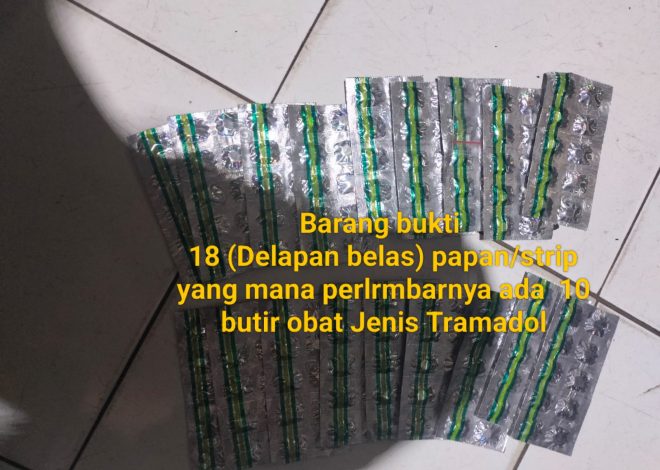 Polsek Cisauk Ungkap Peredaran Tramadol, Ditemukan Airsoft Gun hingga Dugaan Molotov