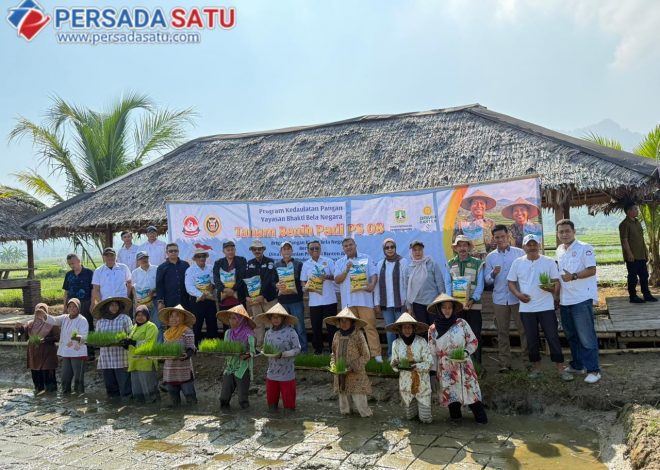 TARGET 1.500 HEKTAR! BRIGADE PANGAN BHAKTI BELA NEGARA GELAR PENANAMAN PADI UNGGUL PS 08 DI PANDEGLANG