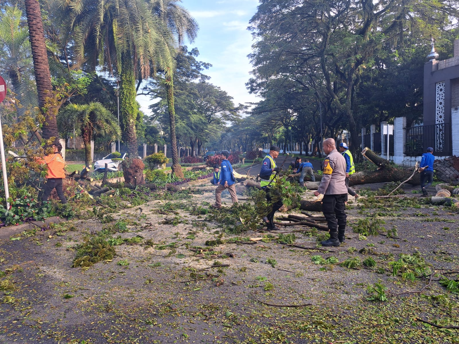 Respons Cepat Pohon Tumbang, Polsek Pondok Aren Pastikan Akses Jalan Raya Kebayoran Kembali Normal