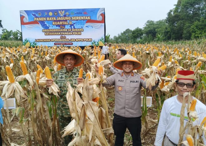 Kapolres Tangsel Hadiri Panen Jagung Kuartal II Polda Metro Jaya di Cisauk