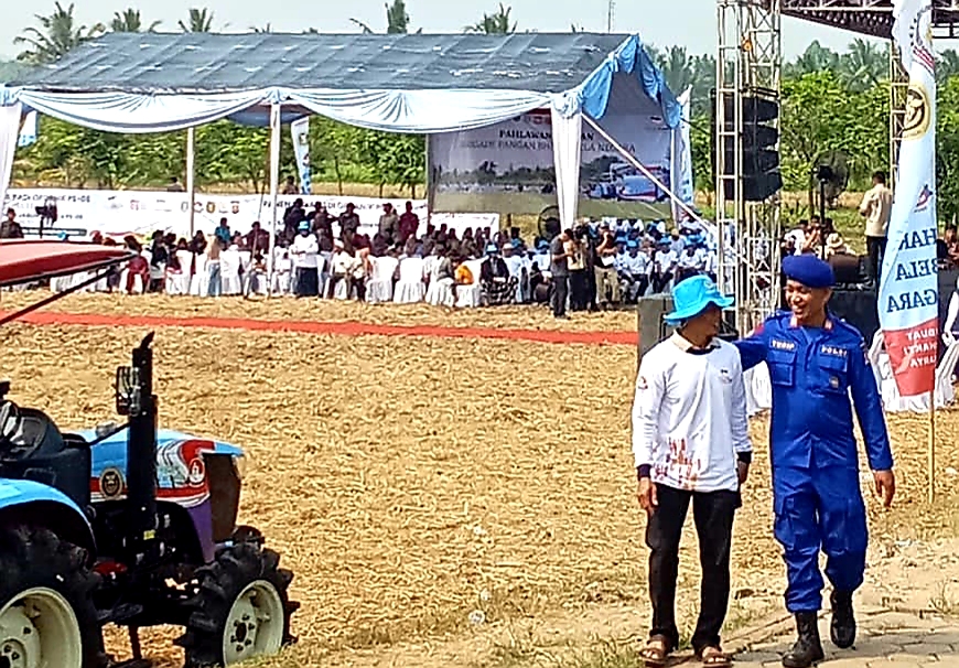 PANEN RAYA PADI PS 08 1.500 HEKTAR, YAYASAN BHAKTI BELA NEGARA JUGA LANJUTKAN TANAM JAGUNG HIBRIDA UNGGUL BERSAMA GUBERNUR BANTEN